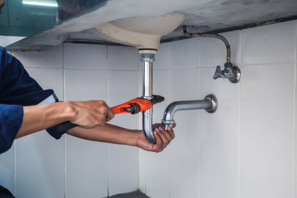 Best Plumbing Inspection Services  in Mapleton, MN