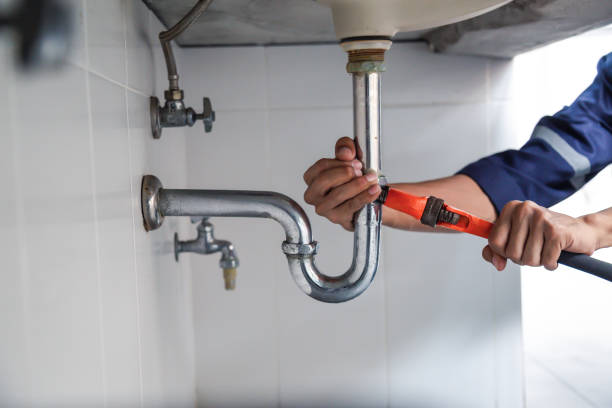 Best Leak Detection Services  in Mapleton, MN